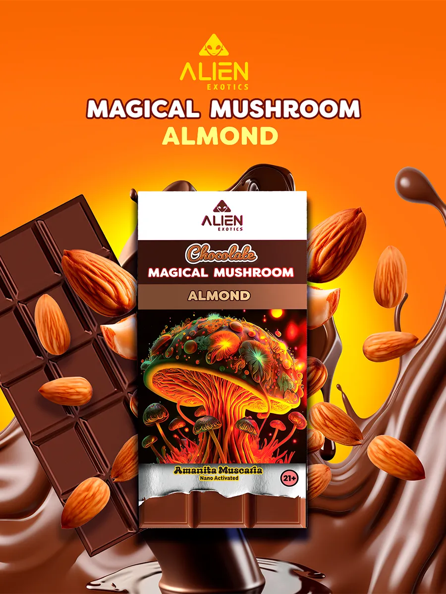 Almond Alien Exotics Chocolate Magic Mushroom Amanita Muscaria Nano Activated 45G - Image 2