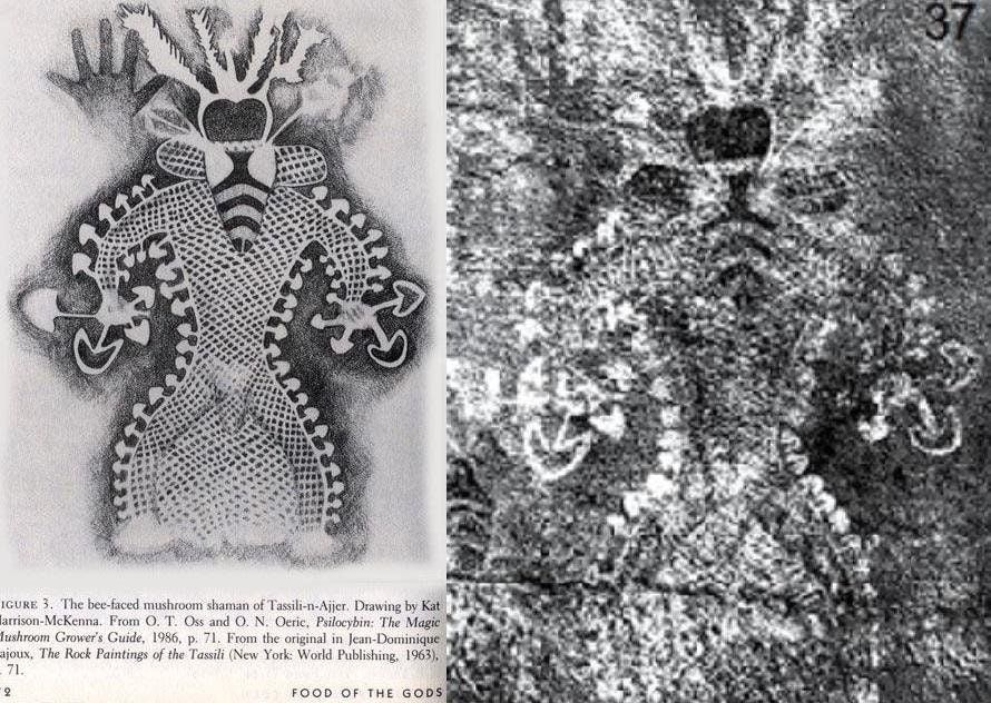 Entheogen Explosion Magic Mushrooms - Image 2